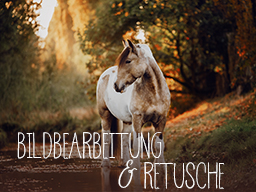 Webinar: Mein Bildbearbeitungsworkflow