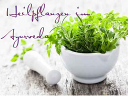 Webinar: Heilpflanzen im Ayurveda - von Panchakarma und Rasayana