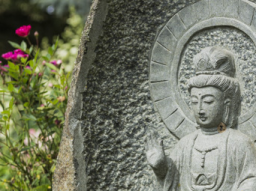Webinar: Meditation und Achtsamkeit für ein gesundes und bewusstes Leben