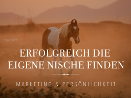 Webinar: Erfolgreich die eigene Nische finden