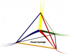 Webinar: Synergie-Vortrag 5 / 5 (Herzensintelligenz)