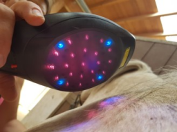 Webinar: Laserfrequenztherapie bei COB
