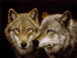 Webinar: Welchen Wolf fütterst Du? 30min Webinar + ca 60 min pers. online Einzel-Coaching