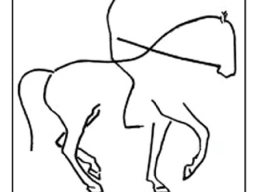 Webinar: PHYSIO-RIDING Treff