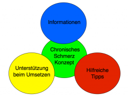 Webinar: Chronisches Schmerz Konzept