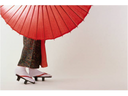 Webinar: Praxissprechstunde "Der Bequem-Schuh"