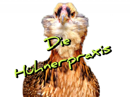 FETTLEIBIGKEIT BEI LUXUSHÜHNERN - Mein bestes Konzept