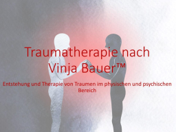 Webinar: Traumatherapie nach Vinja Bauer (TM) Block 1