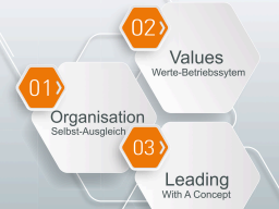 Webinar: SAOS, dass moderne Organisations-System (Alternative zu Hierarchie und Matrix)