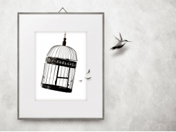 Webinar: Frei sein!