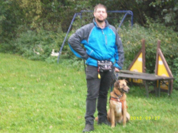Webinar: Sachkunde Hund - Training mit dem Hund