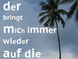 Webinar: Der bringt mich auf die Palme - Exklusiv-Einzelcoaching: