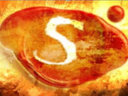 Webinar: SECRET-Workshop MENTALTRAINING