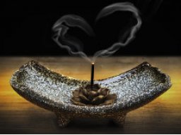 Webinar: Meditation der Liebenden Güte