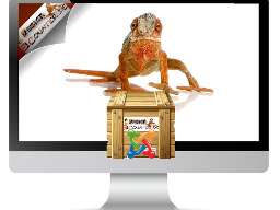 Webinar: Business Webseite mit E-Mail Marketing