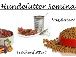 Webinar: Das Hundefutter Seminar