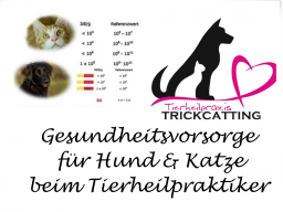 Webinar: Gesundheitsvorsorge für Hund & Katze beim Tierheilpraktiker