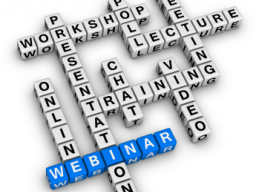 Webinar: In 90 Minuten zum erfolgreichen Webinar