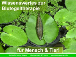 Webinar: Blutegeltherapie - Wissenswertes für Mensch und Tier