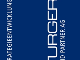 Webinar: Strategie