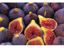 Webinar: DIE FEIGE- eine "reiche" Frucht