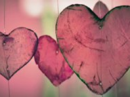 Webinar: Eine harmonische Beziehung leben