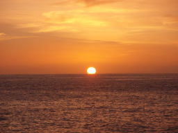 Webinar: Existentielles Coaching
