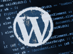Webinar: WP COLLEGE SPRECHSTUNDE #1