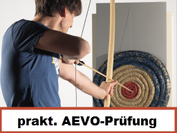 Webinar: Vorbereitung zur praktischen AEVO-Prüfung