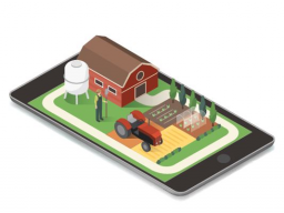 Webinar: Eigentümer gewinnen mit dem RE/MAX-Contentpaket