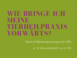 Webinar: Werbe & Marketingstrategien in der Tierheilpraxis