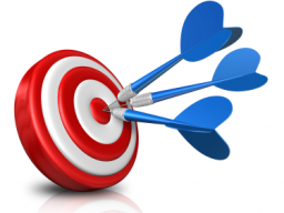 Webinar: VIP Online-Coaching