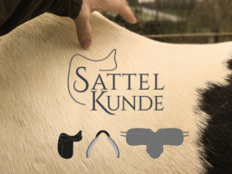 Webinar: Sattelkunde