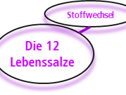 Webinar: Schüssler Salze und "Stoffwechsel"