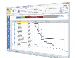 Webinar: MS Project 2010 Schulung