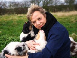 Webinar: Ist mein Hund wirklich Leinenaggresiv?