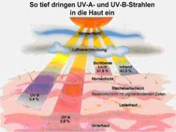 Webinar: Sonnencreme - ja oder nein