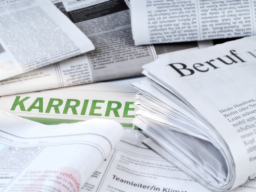 Webinar: Beruf & Berufung