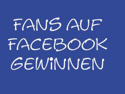 Webinar: Fans auf Facebook gewinnen