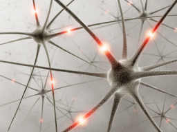 Webinar: NLP Schnupperkurs Auffrischung