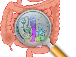 Webinar: Leaky Gut - der hyperdurchlässige Darm. Sind auch Sie betroffen?