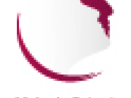 Webinar: Webinar für neue Webinar-Anbieter