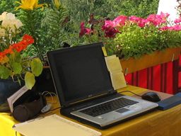 Webinar: Wie du mitreißende Webinare gestaltest