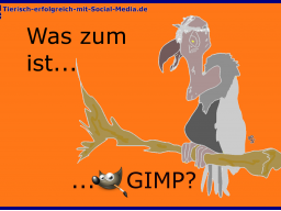 Webinar: Was zum Geier ist GIMP und was kann es?
