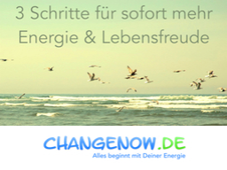 Webinar: 3 Schritte für sofort mehr Energie! :-)