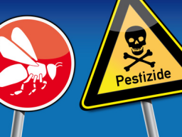 Webinar: Die tödlichen Gefahren für unsere Gesundheit