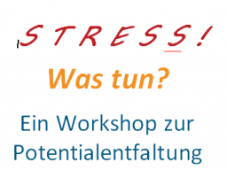 Webinar: STRESS! - Was tun? Teil 1 theoretische Grundlagen