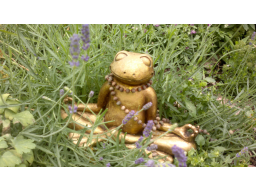 Webinar: Yoga Nidra Entspannung und Zentrierung PUR