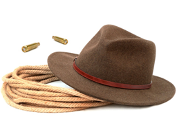 Webinar: Die Indiana Jones- Strategie - In 6 Stunden zum perfekten Online Business!