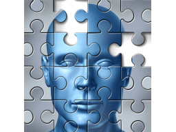 Webinar: Erfahrung und Wissenschaftlichkeit in der Medizin. Worauf können wir vertrauen?